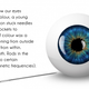 Illustration for article titled 20 Facts About Light To Brighten Your Curiosity